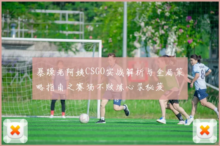 暴躁老阿姨CSGO实战解析与全局策略指南之赛场不败炼心录秘笈