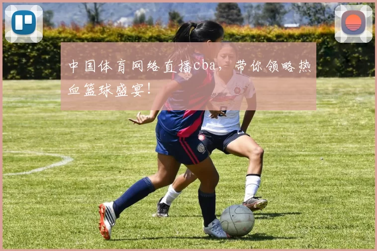 中国体育网络直播cba，带你领略热血篮球盛宴！