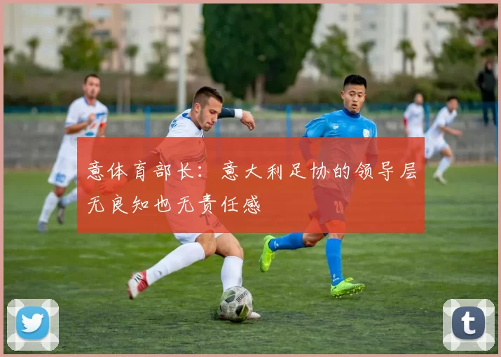 意体育部长：意大利足协的领导层无良知也无责任感