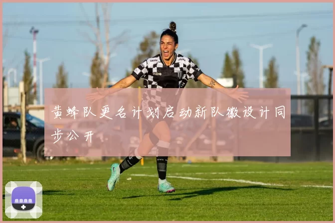 黄蜂队更名计划启动新队徽设计同步公开